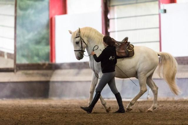 Equi-Art Reitanlage Hotel Schwall Ngoại thất bức ảnh
